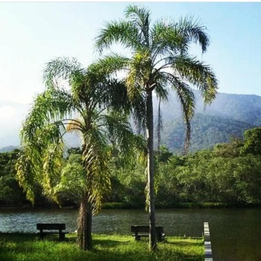 Suites Proximo Ao Rio Jaguareguava Em ברטיוגה מראה חיצוני תמונה